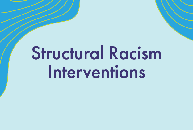 Structural Racism Interventions